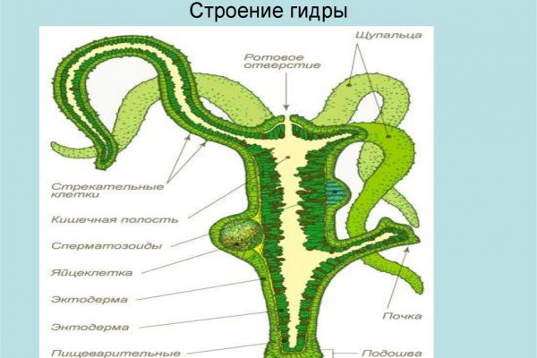 Регистрация на kraken com